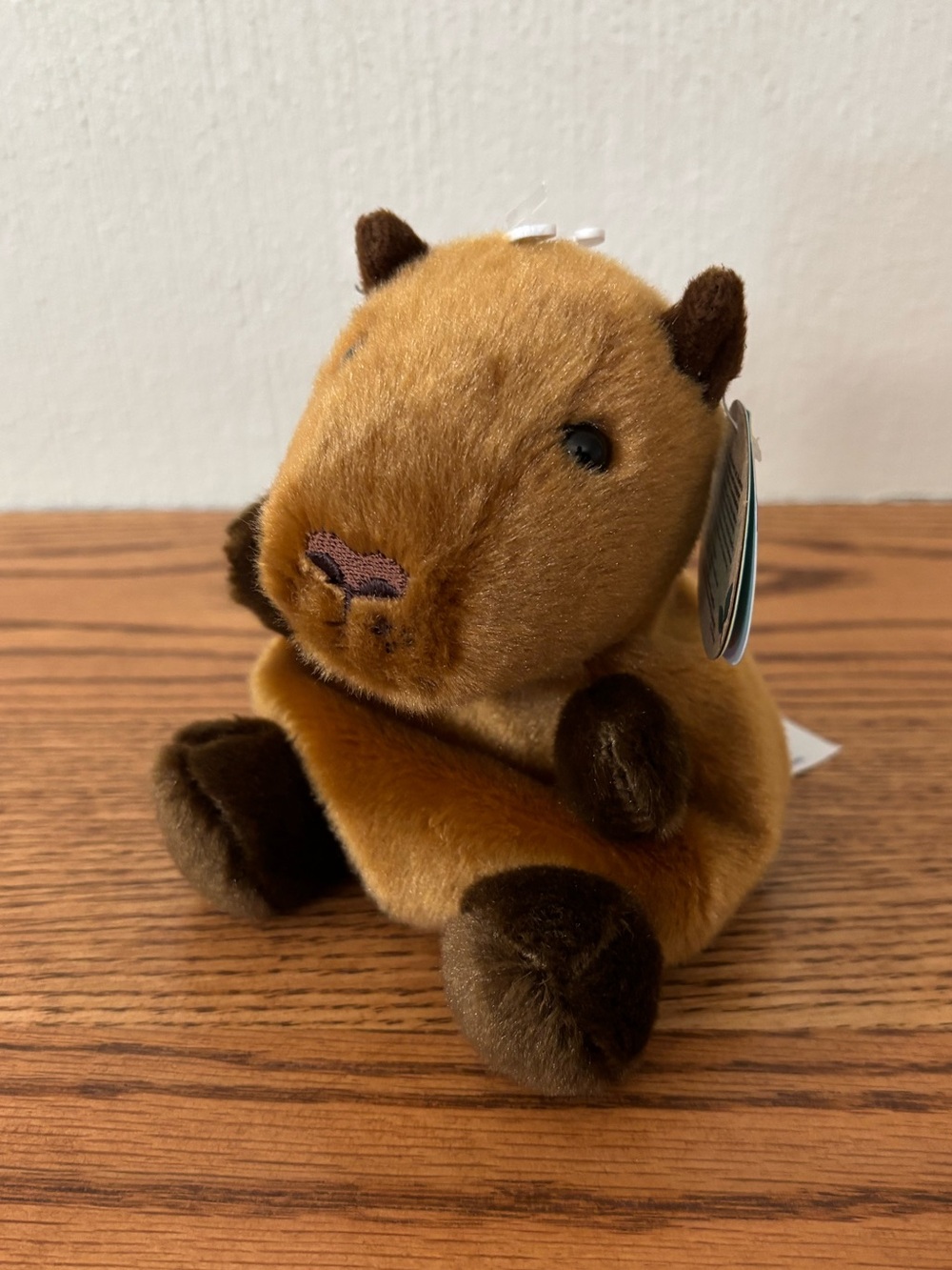 Aurora Palm Pals Sid Capybara Stuffed Bean Bag Plush NWT 2025